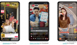 手机性爱直播,隐私边界与伦理挑战