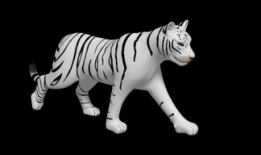 白虎动漫,探索东方奇幻世界的视觉盛宴